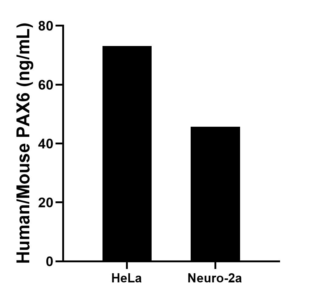 Sample test of MP01219-4